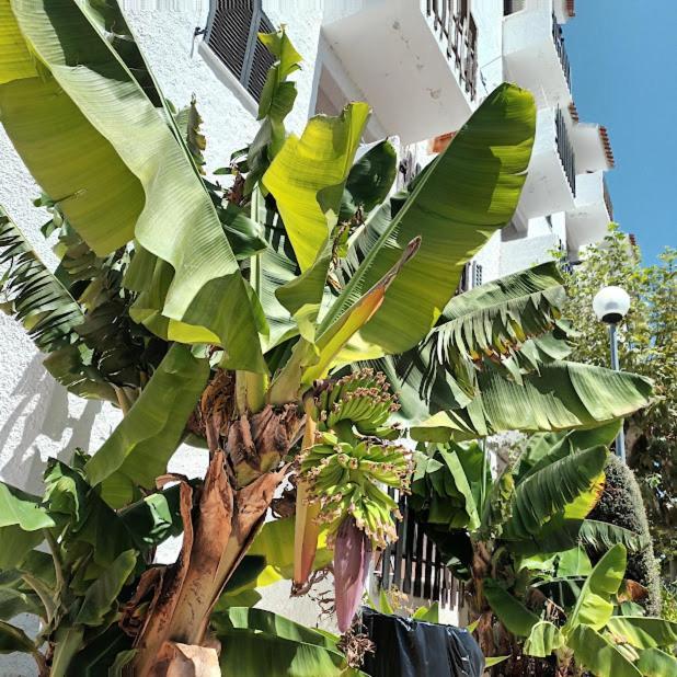 Nora Velha T1 Apartment Tavira Exterior photo